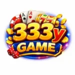 333y Game