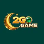 2 Go Game