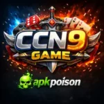 CCN9 Game