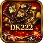 DK 222 Game