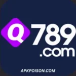 Q789 Game