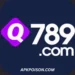 Q789 Game
